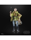 Star Wars Episode VI 40th Anniversary Black Series Figurina articulata Princess Leia (Endor) 15 cm