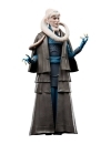 Star Wars Episode VI 40th Anniversary Black Series Figurina articulata Bib Fortuna 15 cm