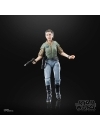 Star Wars Episode VI 40th Anniversary Black Series Figurina articulata Princess Leia (Endor) 15 cm