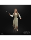 Star Wars Black Series Figurina articulata Princess Leia (Evok Village) 15 cm (Return of the Jedi)