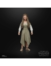 Star Wars Black Series Figurina articulata Princess Leia (Evok Village) 15 cm (Return of the Jedi)