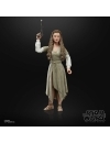 Star Wars Episode VI Black Series Action Figure 2022 Princess Leia (Ewok Village) 15 cm