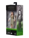 Star Wars Black Series Figurina articulata Princess Leia (Evok Village) 15 cm (Return of the Jedi)