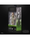 Star Wars Black Series Figurina articulata Princess Leia (Evok Village) 15 cm (Return of the Jedi)