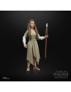 Star Wars Episode VI Black Series Action Figure 2022 Princess Leia (Ewok Village) 15 cm