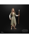 Star Wars Black Series Figurina articulata Princess Leia (Evok Village) 15 cm (Return of the Jedi)