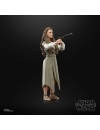 Star Wars Black Series Figurina articulata Princess Leia (Evok Village) 15 cm (Return of the Jedi)