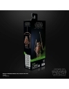 Star Wars Episode VI Black Series Figurina articulata Wicket 15 cm