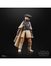 Star Wars Black Series Figurina articulata Leia Organa (Boushh) 15 cm (Return of the Jedi)