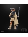 Star Wars Black Series Figurina articulata Leia Organa (Boushh) 15 cm (Return of the Jedi)