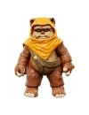 Star Wars: Ewoks Vintage Collection Figurine articulate Wicket W Warrick & Kneesaa 10 cm