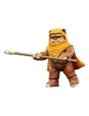 Star Wars: Ewoks Vintage Collection Figurine articulate Wicket W Warrick & Kneesaa 10 cm