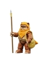 Star Wars: Ewoks Vintage Collection Figurine articulate Wicket W Warrick & Kneesaa 10 cm