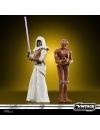 Star Wars: Galaxy of Heroes Vintage Collection Set 2 figurine articulate Jedi Knight Revan & HK-47 10 cm