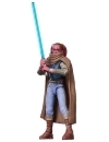 Star Wars: Maul – Shadow Lord Vintage Collection Figurina articulata Devon Izara 10 cm