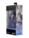 Star Wars: Obi-Wan Kenobi Black Series Figurina articulata Qui-Gon Jinn (Force Spirit) 15 cm