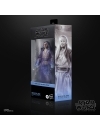 Star Wars: Obi-Wan Kenobi Black Series Figurina articulata Qui-Gon Jinn (Force Spirit) 15 cm