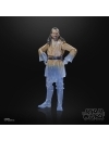 Star Wars: Obi-Wan Kenobi Black Series Figurina articulata Qui-Gon Jinn (Force Spirit) 15 cm