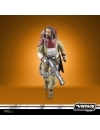 Star Wars: Rogue One Vintage Collection (Deluxe) Figurina articulata Baze Malbus 10 cm