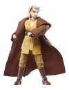 Star Wars: The Acolyte Black Series Figurina articulata Padawan Jecki Lon 15 cm