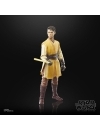 Star Wars: The Acolyte Black Series Figurina articulata Jedi Knight Yord Fandar 15 cm