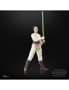 Star Wars: The Acolyte Black Series Figurina articulata Jedi Master Indara 15 cm