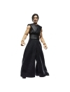 Star Wars: The Acolyte Black Series Figurina articulata The Stranger (Qimir) 15 cm