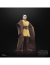 Star Wars: The Acolyte Black Series Figurina articulata Jedi Master Sol 15 cm