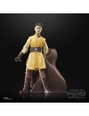 Star Wars: The Acolyte Black Series Figurina articulata Jedi Knight Yord Fandar 15 cm