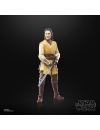 Star Wars: The Acolyte Black Series Figurina articulata Jedi Master Sol 15 cm