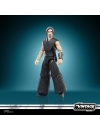 Star Wars: The Acolyte Vintage Collection Figurina articulata The Stranger (Qimir) 10 cm