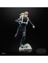 Star Wars: The Book of Boba Fett Black Series Set 2 figurine Luke Skywalker & Grogu 15 cm