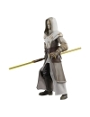 Star Wars: The Clone Wars Black Series Figurina articulata Jedi Temple Guard 15 cm