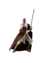 Star Wars Black Series Figurina articulata Mace Windu (The Clone Wars) 15 cm