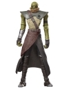 Star Wars: The Mandalorian and Grogu Vintage Collection Figurina articulata Embo 10 cm