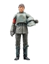 Star Wars: The Mandalorian Black Series Figurina articulata Din Djarin (Morak) 15 cm