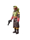 Star Wars Retro Collection Figurina articulata Boba Fett (Morak) 10 cm (The Mandalorian)