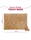 Teddy Bear Set Paturica si Jucarie de Plus 22cm