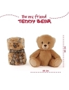 Teddy Bear Set Paturica si Jucarie de Plus 22cm