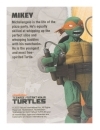 Teenage Mutant Ninja Turtles BST AXN Figurina ariculata Michelangelo (IDW Comics) 13 cm