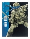 Teenage Mutant Ninja Turtles BST AXN Set 4 figurine articulate Black&White (IDW Comics) 13 cm