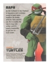 Teenage Mutant Ninja Turtles BST AXN Figurina articulata Raphael (IDW Comics) 13 cm