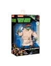 Teenage Mutant Ninja Turtles Ninja Elite Series Action Figure Leo in Disguise 15 cm