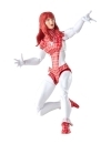 Marvel Legends Set 2 figurine articulate Spider-Man & Spinneret (The Amazing Spider-Man) 15 cm