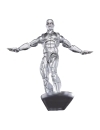 The Silver Surfer Marvel Legends Figurina articulata Silver Surfer 15 cm