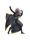 The Uncanny X-Men Marvel Legends Figurina articulata Storm 15 cm