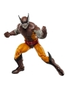 Wolverine 50th Anniversary Marvel Legends Set 2 figurine articulate Wolverine & Lilandra Neramani 15 cm