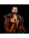 WWE Best of Ultimate Edition 5 Figurina articulata Seth Rollins 15  cm 