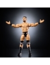 WWE Elite Collection Figurina articulata Ethan Page 15 cm