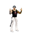 WWE Ultimate Edition 14 Figurina Jeff Hardy 15 cm
